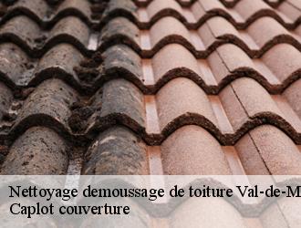 Nettoyage demoussage de toiture 94 Val-de-Marne  Caplot couverture