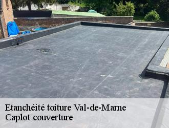 Etanchéité toiture 94 Val-de-Marne  Caplot couverture