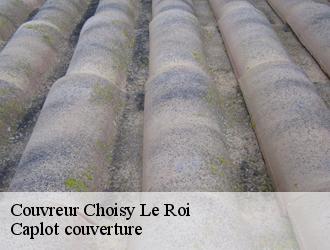 Couvreur  choisy-le-roi-94600 Caplot couverture