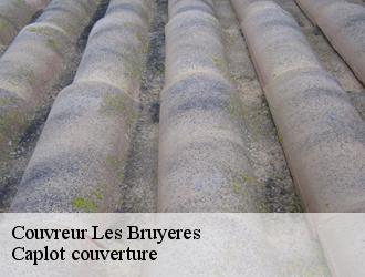 Couvreur  les-bruyeres-94370 Caplot couverture