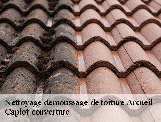 Nettoyage demoussage de toiture  arcueil-94110 Caplot couverture