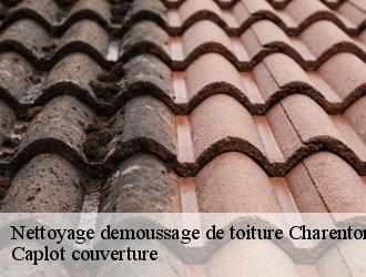 Nettoyage demoussage de toiture  charenton-le-pont-94220 Caplot couverture