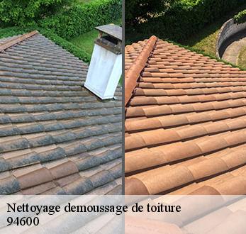 Nettoyage demoussage de toiture  94600