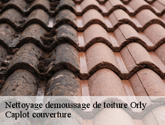 Nettoyage demoussage de toiture  orly-94310 Caplot couverture