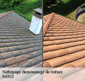 Nettoyage demoussage de toiture  94310