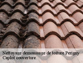 Nettoyage demoussage de toiture  perigny-94520 Caplot couverture