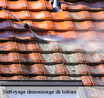 Nettoyage demoussage de toiture