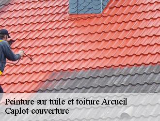 Peinture sur tuile et toiture  arcueil-94110 Caplot couverture