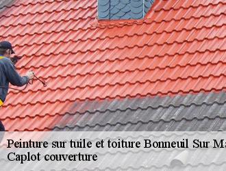 Peinture sur tuile et toiture  bonneuil-sur-marne-94380 Caplot couverture