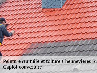 Peinture sur tuile et toiture  chennevieres-sur-marne-94430 Caplot couverture