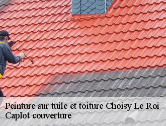 Peinture sur tuile et toiture  choisy-le-roi-94600 Caplot couverture