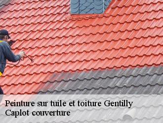 Peinture sur tuile et toiture  gentilly-94250 Caplot couverture