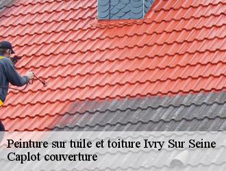 Peinture sur tuile et toiture  ivry-sur-seine-94200 Caplot couverture