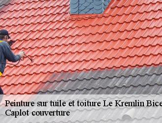 Peinture sur tuile et toiture  le-kremlin-bicetre-94270 Caplot couverture