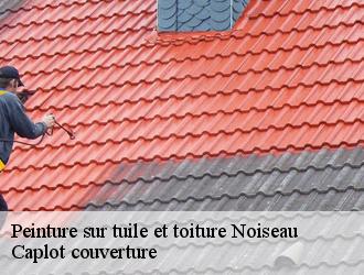 Peinture sur tuile et toiture  noiseau-94880 Caplot couverture