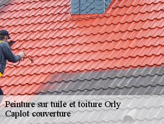 Peinture sur tuile et toiture  orly-94310 Caplot couverture