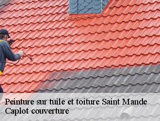 Peinture sur tuile et toiture  saint-mande-94160 Caplot couverture