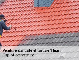 Peinture sur tuile et toiture  thiais-94320 Caplot couverture