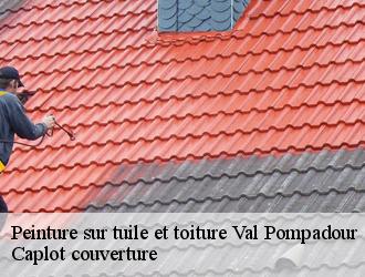 Peinture sur tuile et toiture  val-pompadour-94460 Caplot couverture