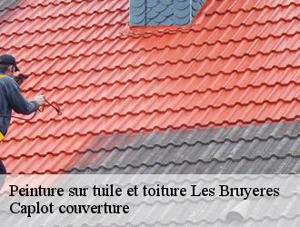 Peinture sur tuile et toiture  les-bruyeres-94370 Caplot couverture