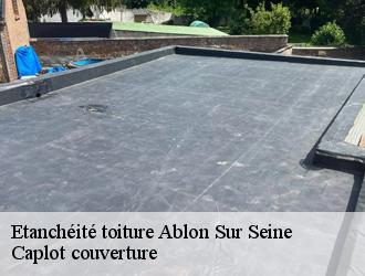 Etanchéité toiture  ablon-sur-seine-94480 Caplot couverture