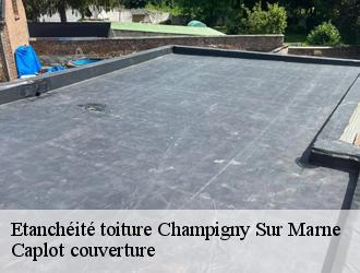 Etanchéité toiture  champigny-sur-marne-94500 Caplot couverture