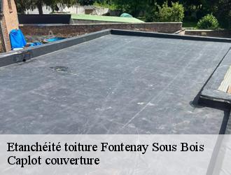 Etanchéité toiture  fontenay-sous-bois-94120 Caplot couverture