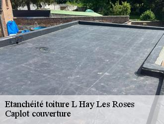 Etanchéité toiture  l-hay-les-roses-94240 Caplot couverture