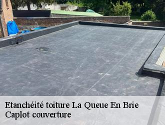 Etanchéité toiture  la-queue-en-brie-94510 Caplot couverture