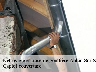 Nettoyage et pose de gouttière  ablon-sur-seine-94480 Caplot couverture