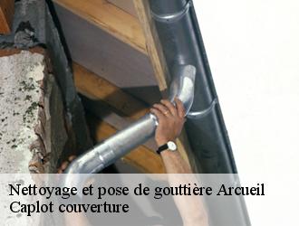 Nettoyage et pose de gouttière  arcueil-94110 Caplot couverture