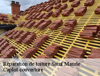 Réparation de toiture  saint-mande-94160 Caplot couverture