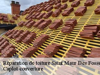 Réparation de toiture  saint-maur-des-fosses-94100 Caplot couverture