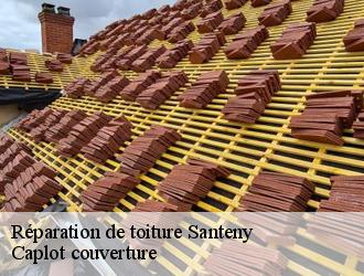 Réparation de toiture  santeny-94440 Caplot couverture