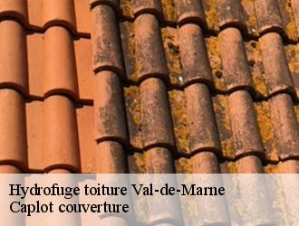 Hydrofuge toiture 94 Val-de-Marne  Caplot couverture