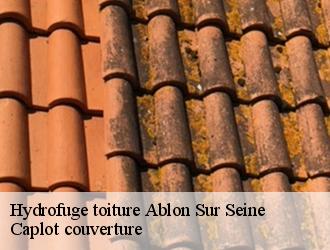 Hydrofuge toiture  ablon-sur-seine-94480 Caplot couverture