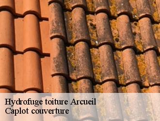 Hydrofuge toiture  arcueil-94110 Caplot couverture