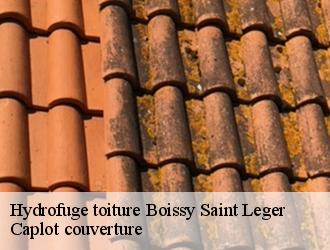 Hydrofuge toiture  boissy-saint-leger-94470 Caplot couverture