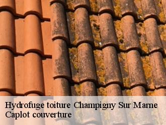 Hydrofuge toiture  champigny-sur-marne-94500 Caplot couverture