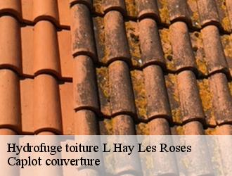 Hydrofuge toiture  l-hay-les-roses-94240 Caplot couverture