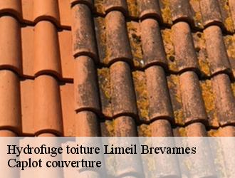 Hydrofuge toiture  limeil-brevannes-94450 Caplot couverture