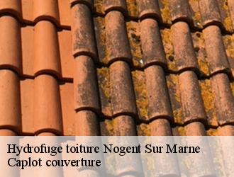 Hydrofuge toiture  nogent-sur-marne-94130 Caplot couverture