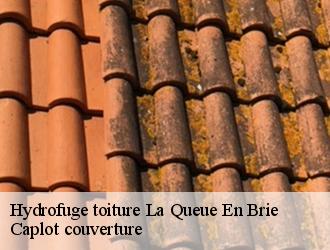 Hydrofuge toiture  la-queue-en-brie-94510 Caplot couverture