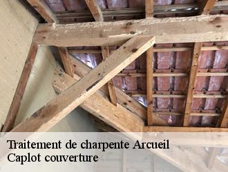 Traitement de charpente  arcueil-94110 Caplot couverture