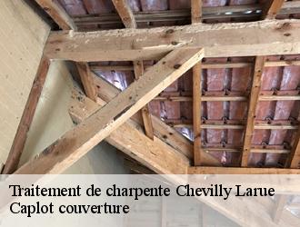 Traitement de charpente  chevilly-larue-94550 Caplot couverture