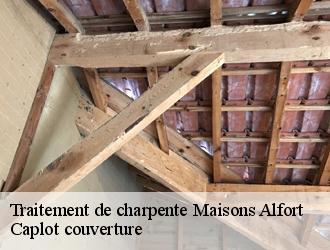 Traitement de charpente  maisons-alfort-94700 Caplot couverture