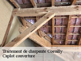 Traitement de charpente  coeuilly-94500 Caplot couverture