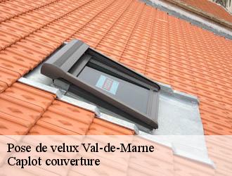 Pose de velux 94 Val-de-Marne  Caplot couverture