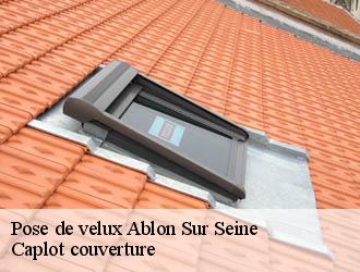 Pose de velux  ablon-sur-seine-94480 Caplot couverture