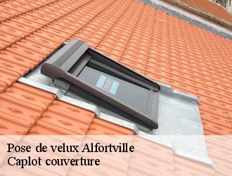 Pose de velux  alfortville-94140 Caplot couverture